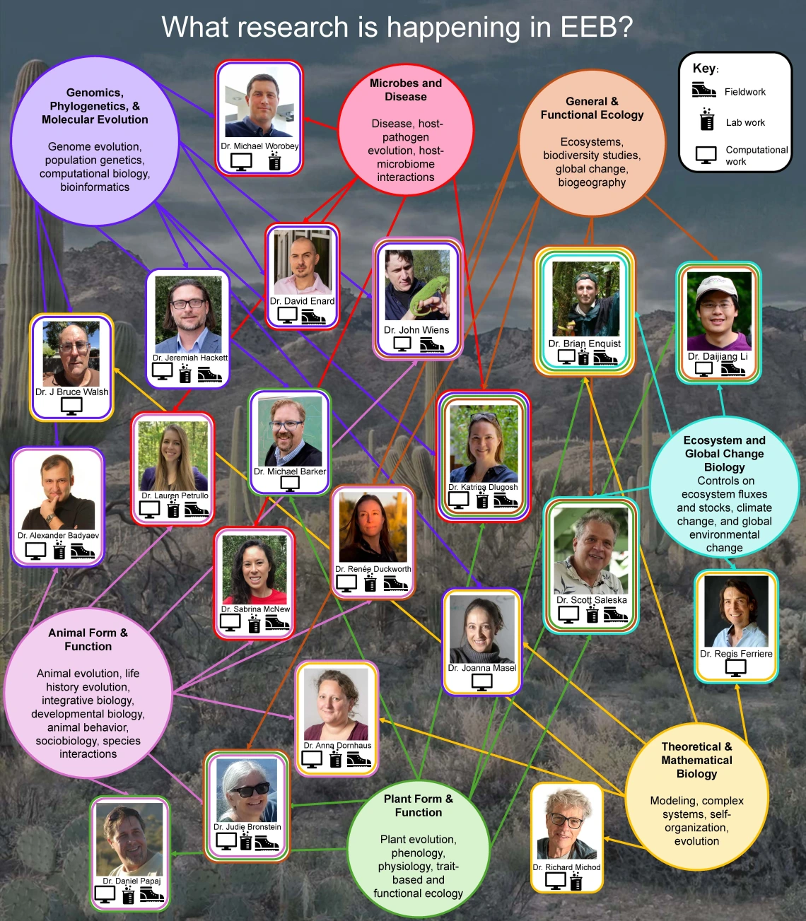 EEB researchers and their area of study