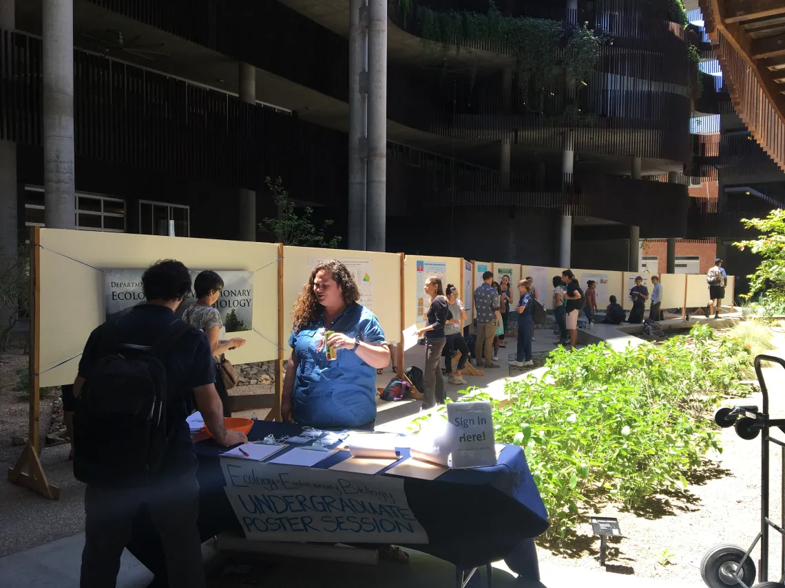 Poster Session 2017 in the ENR2 Slot Canyon